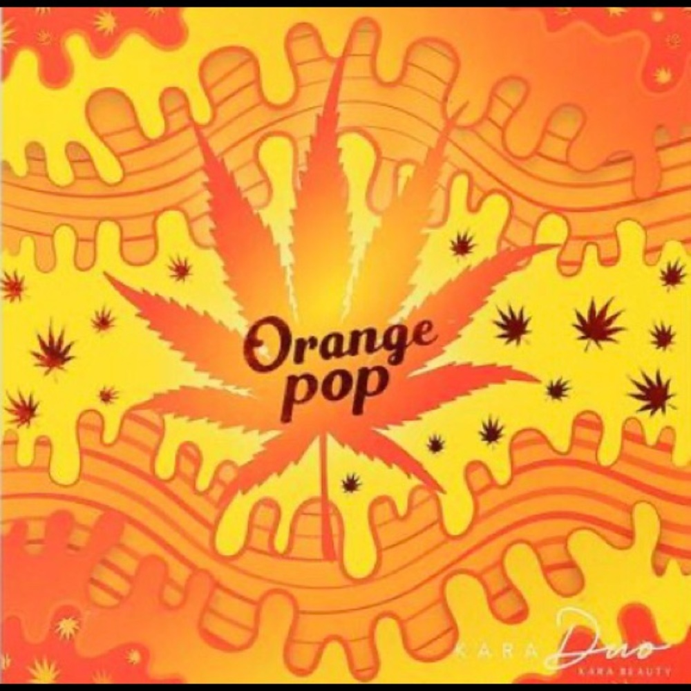๐NWTOrange Pop pallet ๐ - Picture 5 of 6